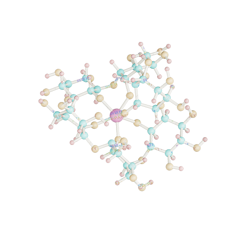 分子环
