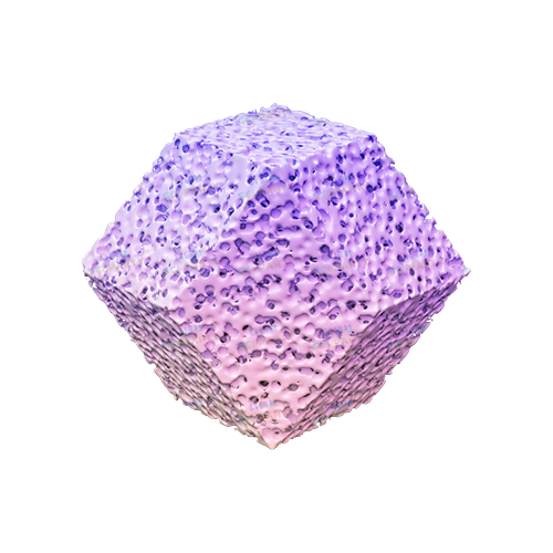 菱形正十二面体-ZIF-8多孔骨架