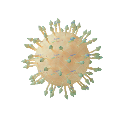 h1n1病毒