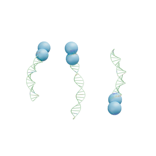 DNA