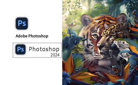 PS 2024 下载及安装指南