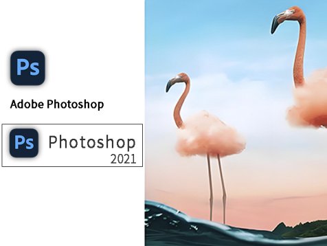 PS 2021 下载及安装指南