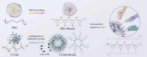 PEG和CTAB自组装纳米花形成机理