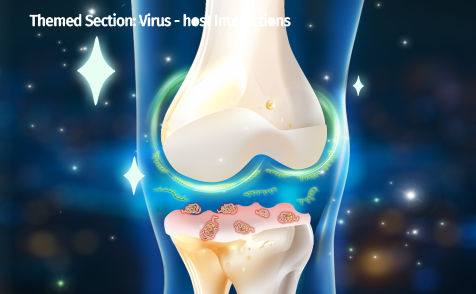 AMEM‌‌-南华长沙附属医院李良军课题组