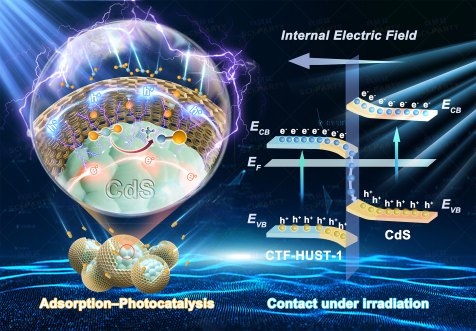 Adv. Funct. Mater.-苏州大学