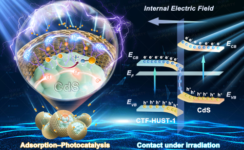 Adv. Funct. Mater.-苏州大学